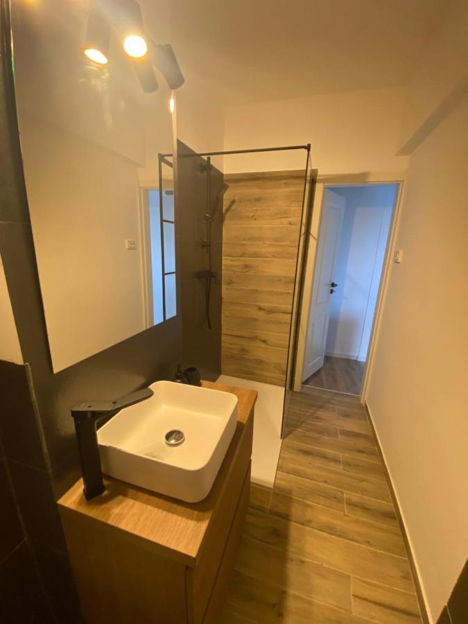 Doinei Cozy Flat Apartament Timişoara
